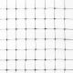 GREENYARD 14' x 75' BIRD NET