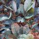 ZZ PLANT 4