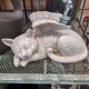 SLEEPING ANGEL CAT W/WINGS