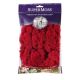 SUPERMOSS REINDEER MOSS 2OZ. RED