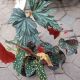 BEGONIA 6