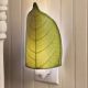 EANGEE LEAF NIGHTLIGHT GREEN
