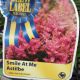 ASTILBE SMILE AT ME #1