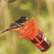 ORIOLE JELLY FEEDER