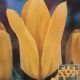 BULB TULIP YELLOW EMPEROR